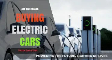 Are Americans Embracing Electric Cars? Trends and Consumer Insights