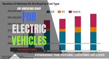 The Electric Revolution: Are Americans Ready to Go Green?