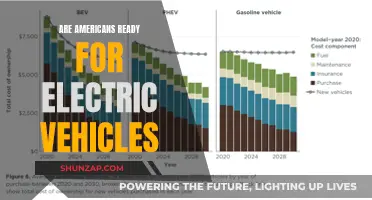 Electric Vehicles: Are Americans Ready for the Change?