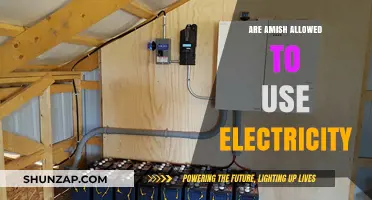 Can Amish Use Electricity? Exploring Their Traditions and Modern Choices