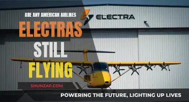 Electras in the Sky: Are American Airlines' Electras Still Flying?