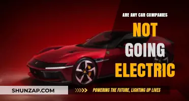 Which Car Manufacturers Are Resisting the Electric Vehicle Revolution?