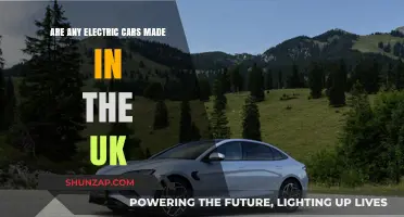 Are Any Electric Cars Made in the UK? Exploring British EV Manufacturing
