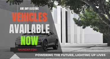 Electric Vehicles: What's Available Now?