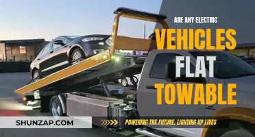 Flat Towing Electric Vehicles: Is It Possible?