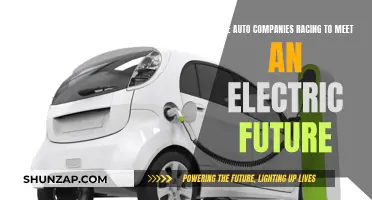 Electric Cars: Auto Companies' Race to the Future