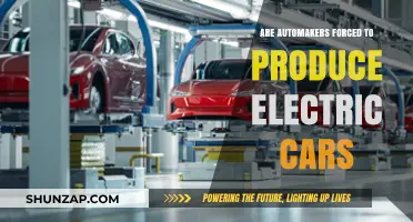 Are Automakers Forced to Embrace Electric Vehicles? Exploring the Shift