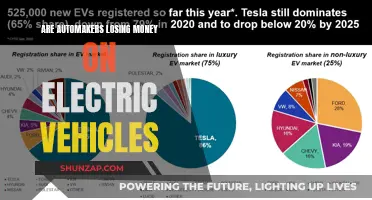 Electric Vehicles: Money-Losers or the Future of Automakers?
