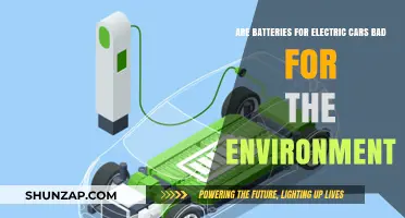 Electric Car Batteries: Environmental Impact and Sustainability Concerns