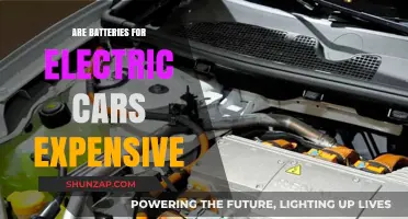 Are Electric Car Batteries Costly? Exploring the Price and Value