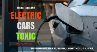 Are Electric Car Batteries Toxic? Uncovering Environmental and Health Concerns