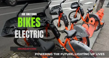 Biketown Bikes: Electric or Not?