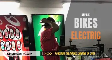 Biki Bikes: Electric or Not?