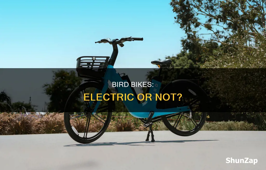 are bird bikes electric