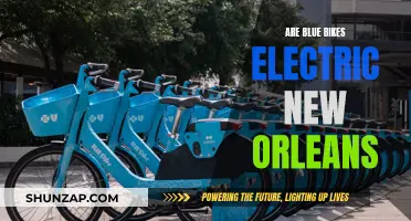 Blue Bikes Electrify New Orleans: A New Way to Explore