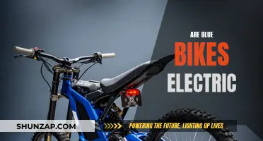 Blue Bikes and Electric Motors: What's the Connection?