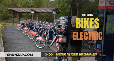 Exploring London's Electric Boris Bikes: Are They Really Electric?