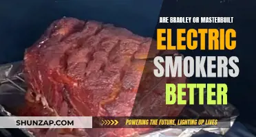 Bradley vs. Masterbuilt: Which Electric Smoker Reigns Supreme?