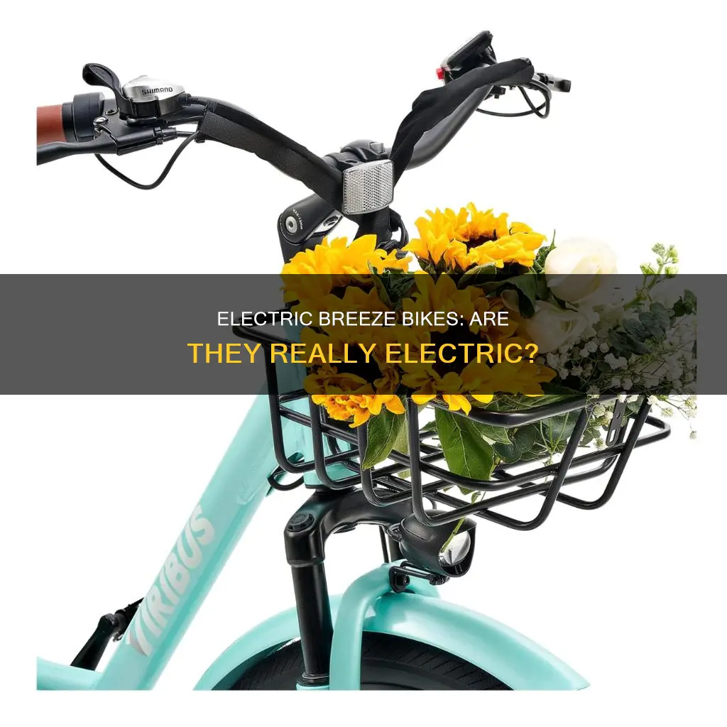 are breeze bikes electric