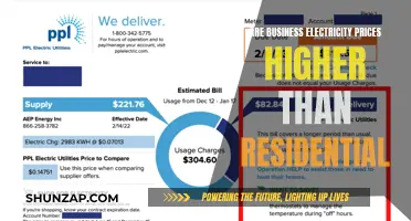 Electricity Prices: Business vs Residential, Who Pays More?