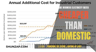 Electricity Rates: Business vs. Home, Who Wins?