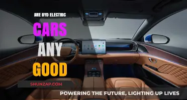 Are BYD Electric Cars Reliable and Worth the Investment?