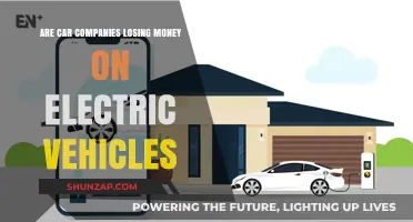 Electric Vehicle Economics: Are Carmakers Facing Financial Losses?