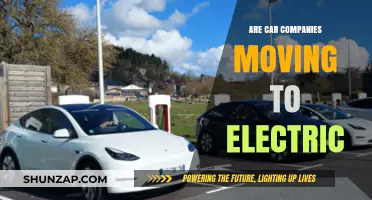 Electric Revolution: Are Car Companies Shifting to Sustainable Mobility?