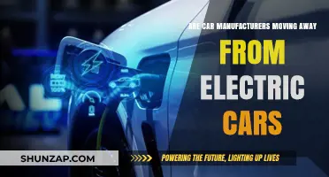 Shifting Gears: Are Carmakers Abandoning Electric Vehicles?