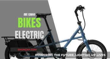 Electric Cargo Bikes: The Future of Sustainable Transportation