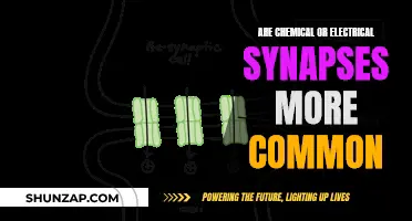Understanding Synapses: Chemical vs Electrical Commonality
