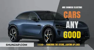 Are Chinese Electric Cars Reliable and Worth the Investment?