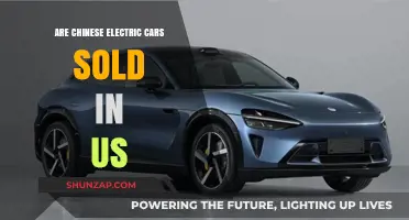 Chinese Electric Cars in the US: Availability and Market Presence