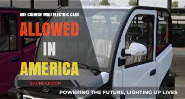 Can Chinese Mini Electric Cars Legally Hit US Roads?
