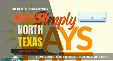 Electric Company Options: Cheaper Co-Ops in North Texas?