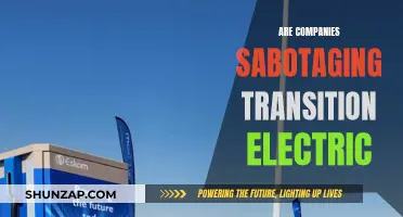 The Transition to Electric: Are Companies Sabotaging Progress?