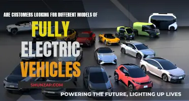 Electric Evolution: Shifting Trends in EV Preferences