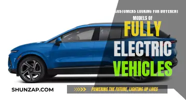 Customers' Interest: Electric Vehicles with Unique Models
