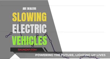 Electric Vehicle Slowdown: Dealer Strategies and Their Impact