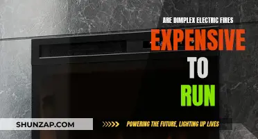 Dimplex Electric Fires: Costly to Run or Energy Efficient?