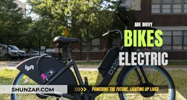 Exploring the Electric Side of Divvy Bikes