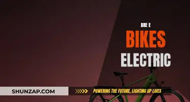 Electric Bike Basics: Are E-Bikes Really Electric?