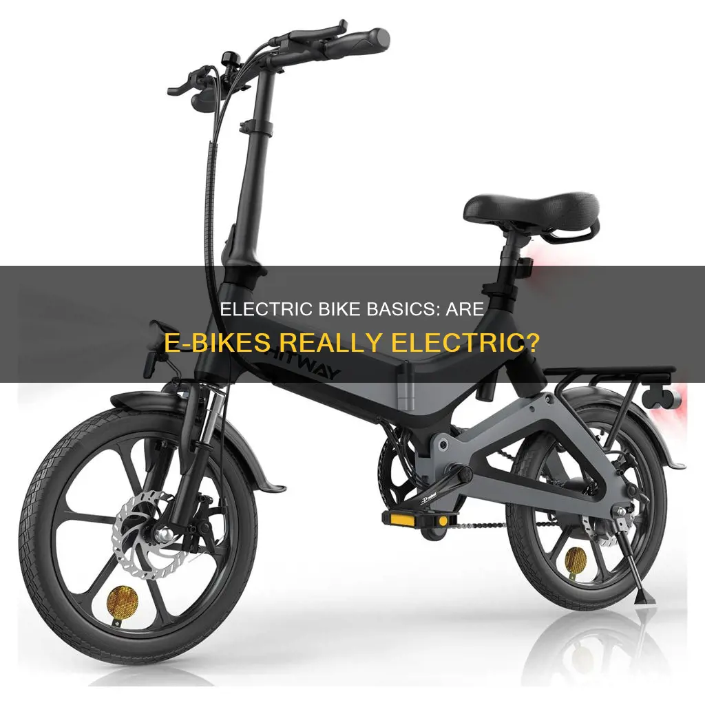 are e bikes electric