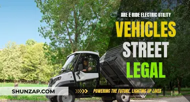 Electric Utility Vehicles: Street-Legal e-Rides?