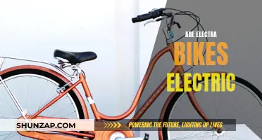 Electra Bikes: Electric or Not?