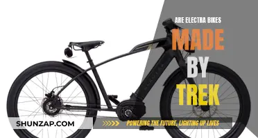 Electra Bikes: Trek's Unique Spin-off Brand