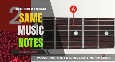 Music Notes: Electric and Acoustic Harmony