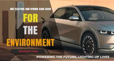 Electric and Hybrid Cars: Eco-Friendly or Environmental Myth?