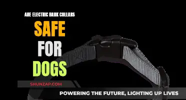 Bark Collars: Electric Shock Safety for Dogs