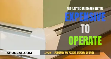 Baseboard Heaters: Costly to Run? Exploring Electric Models